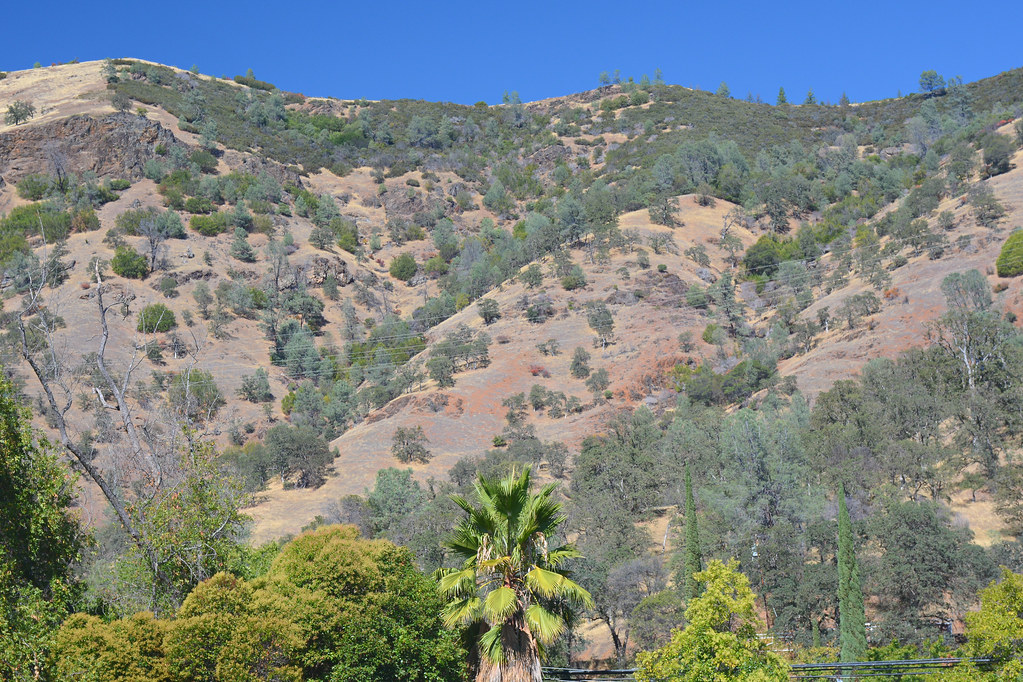 /\/\/\ California Hillside Scenery /\/\/\
