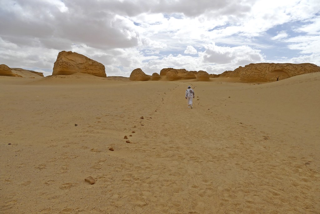 Valle de las Ballenas (El Fayum, a 150 kms al suroeste de El Cairo)