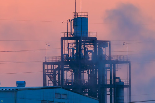 20240324-IMG_4604-強化-NR-Edit.jpg by d3_plus, 日の出, 朝日, 朝焼け, Sunrise, Dawn,
工場,化学プラント,Factory,Chemical plant,
野鳥, Wild Bird,
利根川河川敷, Tone Riverbed,