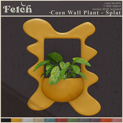[Fetch] Coen Wall Plant - Splat @ Anthem!