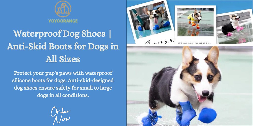 Waterproof Dog Shoes | Anti-Skid Boots for Dogs in All Sizes - 1