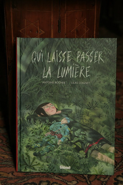 Qui laisse passer la lumière