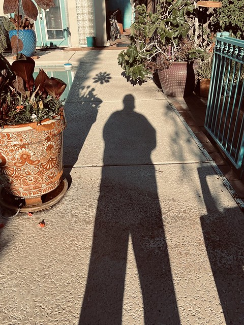 My Shadow Goes Everywhere With Me