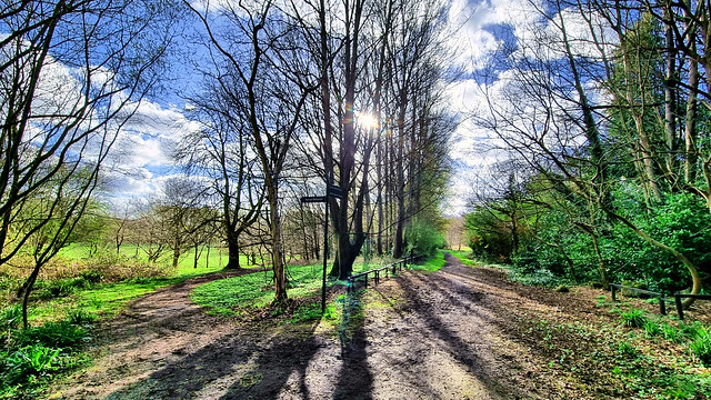 Path on Kersal Dale