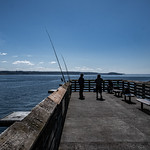 Fox Island Fishing Pier 2024 03 31 05 Fox Island, Washington 2024