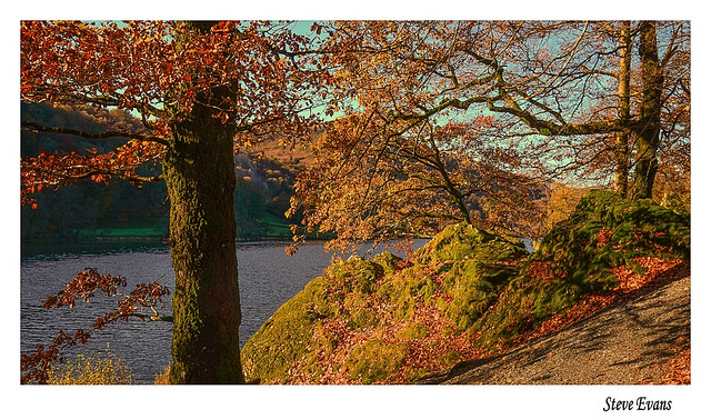 Autumn in the Lakes
