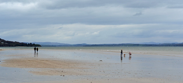 folk on the beach