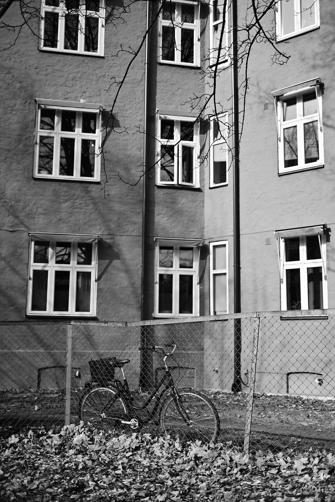 Bicycle by the fence