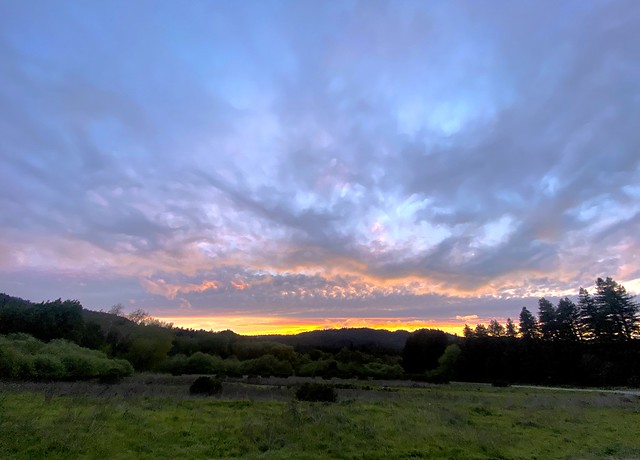 Sunset April 3 Henry Cowell