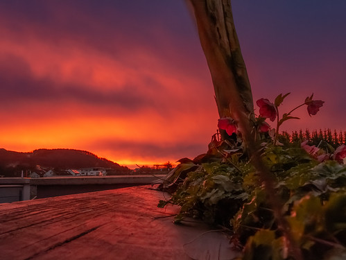 Today’s sunrise was not bad at all by andi.hosen, 