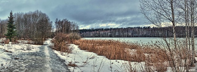 Icy lakeside path