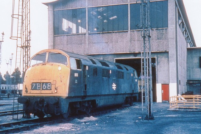 BR Class 42 Warship diesel-hydraulic 805 BENBOW at Laira.