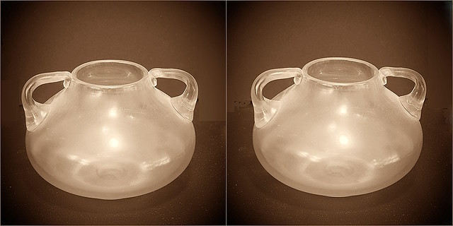 Crossview 3D № 228 | 'Glass Vase In Sepia'