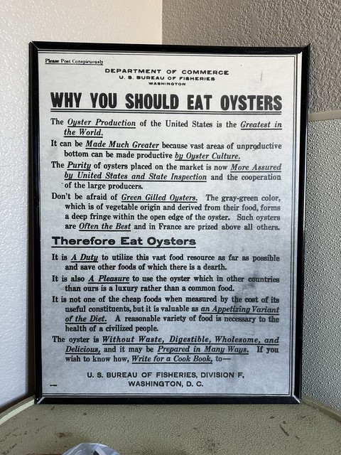 Why you should eat oysters