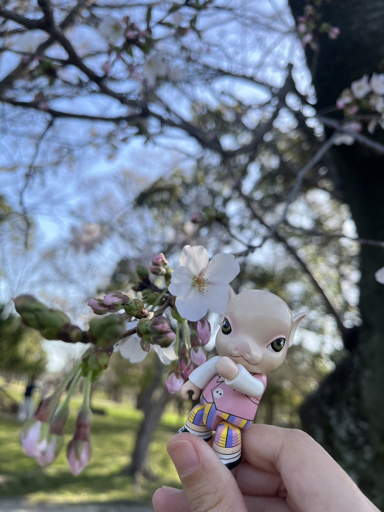 Alice Cherry Blossom & Qee
