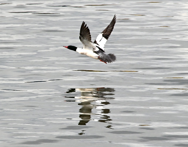 Low level flight