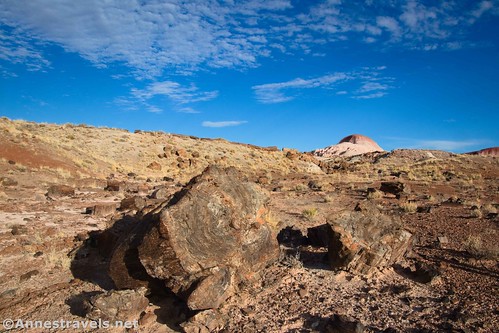 Clouds over petrified wood in the Chalcedony Forest on the Wilderness Route, Petrified Forest National Park, Arizona