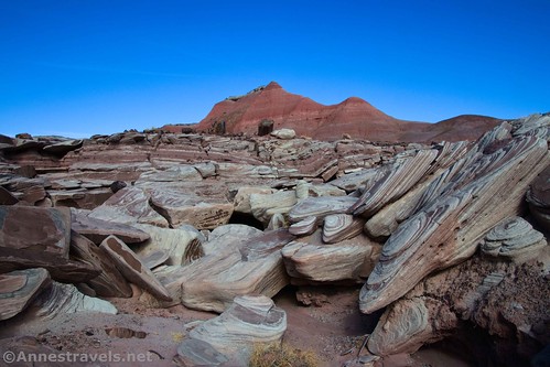 Interesting rocks in the wash on the Wilderness Route, Petrified Forest National Park, Arizona