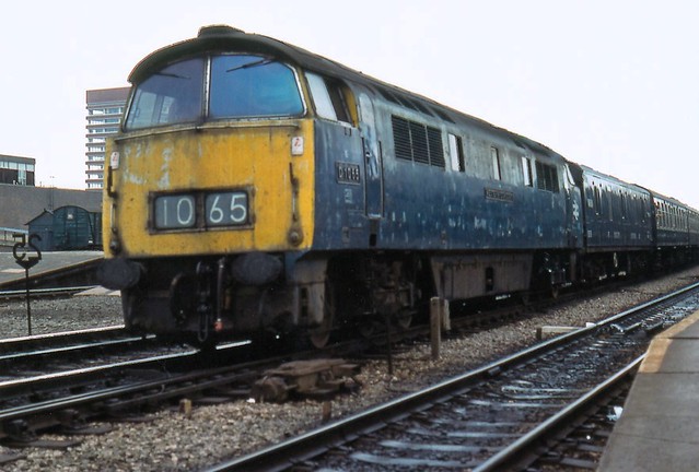 BR Class 52 diesel-hydraulic D1065 WESTERN CONSORT at Reading.