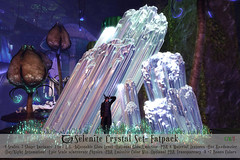 Selenite Crystals Set Fatpack