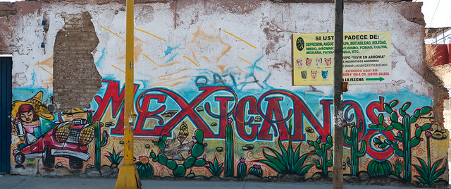 Crumbling Adobe Wall -- Oaxaca