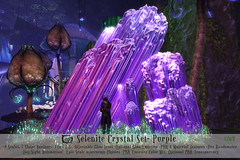 Selenite Crystals Set Purple