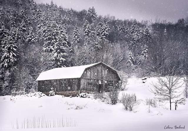 Vieille grange sous la neige \ Old barn under the snow