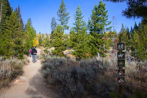The beginning of the Fishhook Creek Trail, Sawtooth National Recreation Area, Idaho