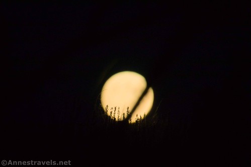 Moonrise along the Fishhook Creek Trail, Sawtooth National Recreation Area, Idaho