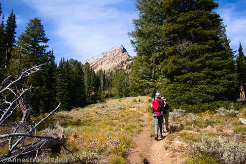 Heading up the Thompson Peak Trail - the ridgeline of Williams Peak is visible, Sawtooth National Recreation Area, Idaho