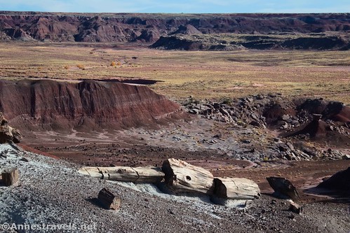 Views while walking along the canyon rim heading for Gregory Stump on the Wilderness Route, Petrified Forest National Park, Arizona