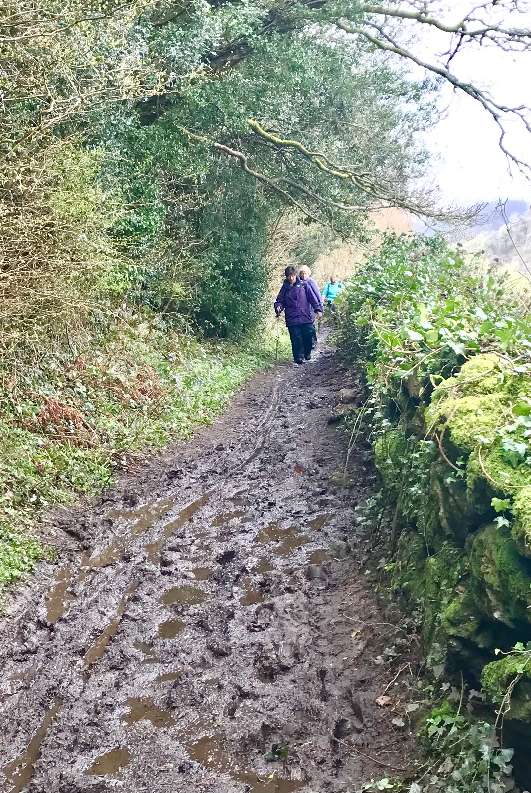 A normal Devon path in Spring ‘24 ! ⛈️️