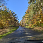 Fall Colors Selkirk Shores State Park, Pulaski NY