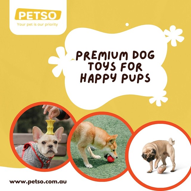 Find The Premium Dog Toys for Happy Pups - 1