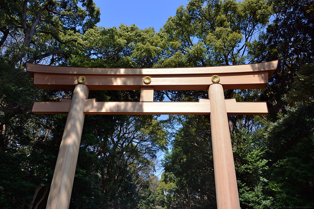 Torii Gate / Meiji Shrine
