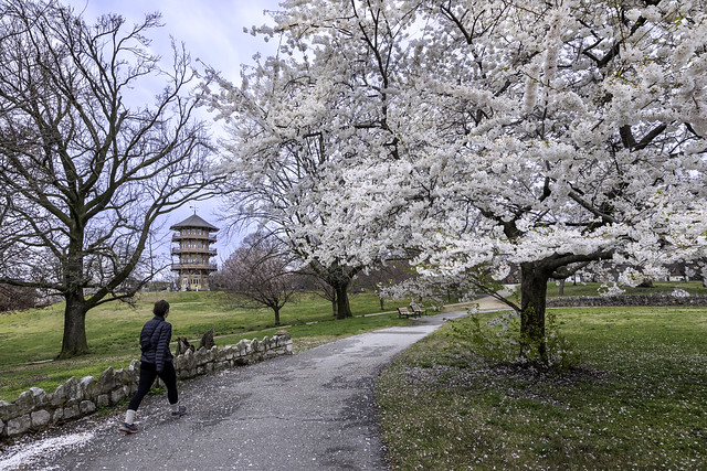 A stroll in Patterson Park — Baltimore, Maryland