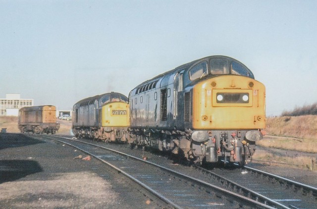 40167 with a sister and a Class 20 cousin at Millerhill.