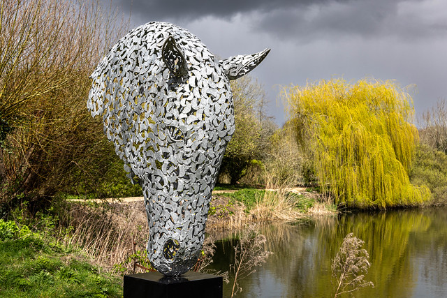 Big Horse Head by Charles Elliot