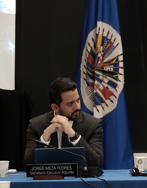 Jorge Meza Flores, Secretario Ejecutivo Adjunto para el Sistema de peticiones, casos y soluciones amistosas