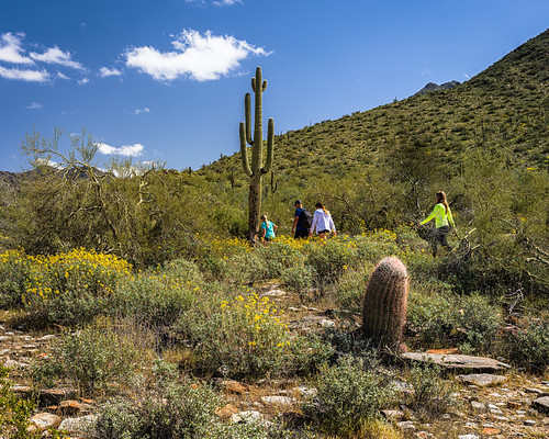 B0006322-Gateway Loop Trail | by Bob Alldredge