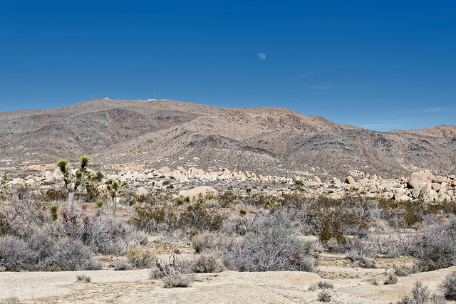 Rock Formations and Boulders with a Backdrop of Pinto Mountain and the Moon (Joshua Tree National Park)