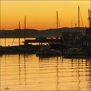 Commencement Bay Sunset Marina