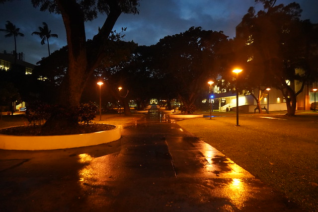 Rainy night on campus