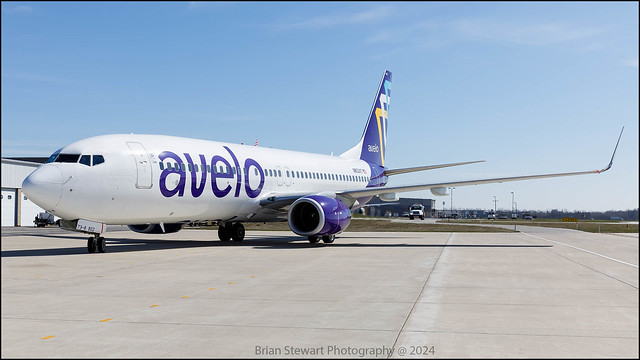 Avelo Airlines - 737-800 - Corporate Wings