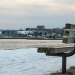 Back Cove Skyline with Bench, Winter 