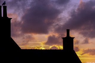 Sunset with seagull: Portknockie, Moray, Scotland.