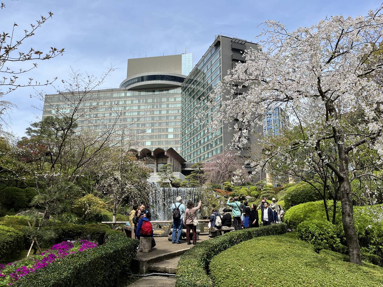 【東京】ホテルニューオータニ・桜咲く日本庭園