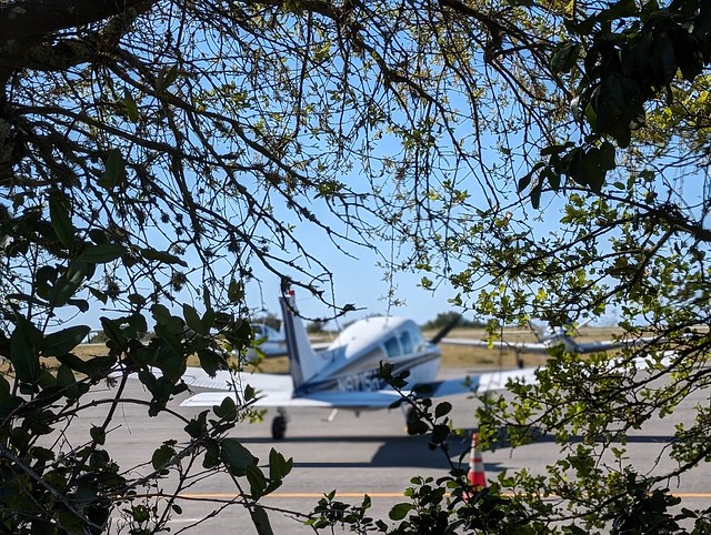 Airplane and bushes, Airport In the Sky, Catalina Island, Los Angeles, California, USA