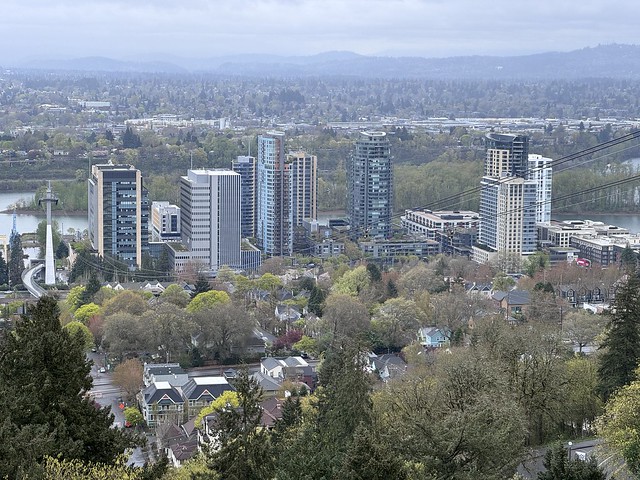 South waterfront from OHSU