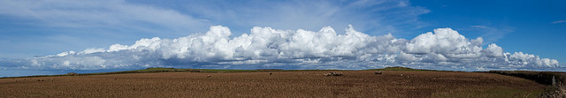 Panorama of cumulonimbus clouds, Marloes Sands (20240401 1506)